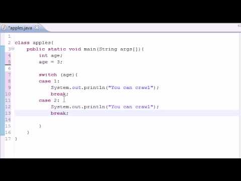 Sample Program In Java Using Switch Case